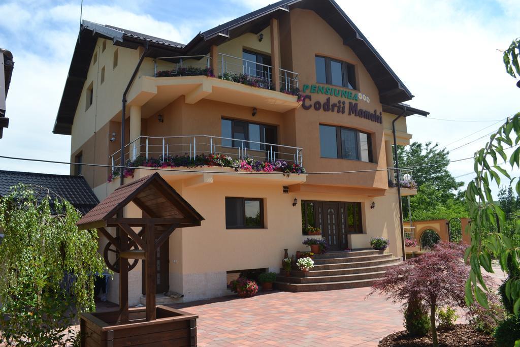 Pensiunea Codrii Mamului Lungesti Exterior photo